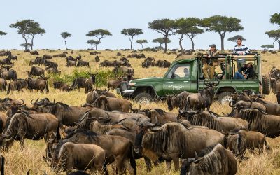 Your guide to planning the Great Migration in Kenya